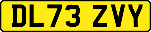 DL73ZVY