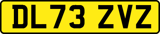 DL73ZVZ