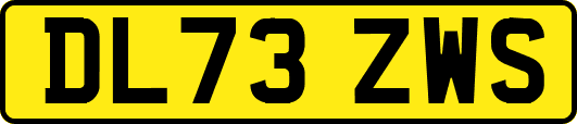 DL73ZWS