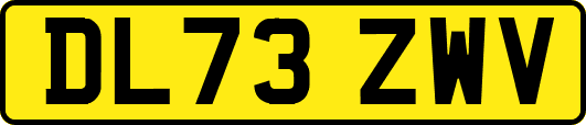 DL73ZWV