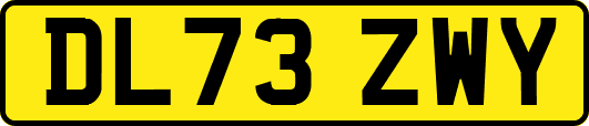 DL73ZWY