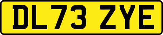 DL73ZYE
