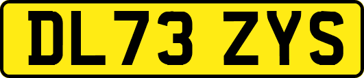 DL73ZYS
