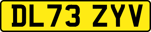 DL73ZYV