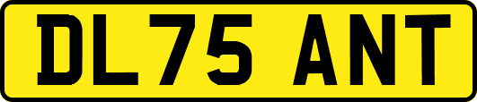 DL75ANT