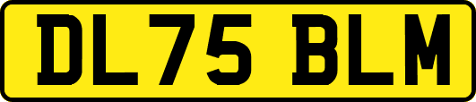 DL75BLM