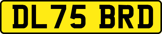 DL75BRD