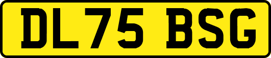 DL75BSG