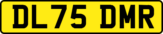DL75DMR