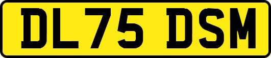 DL75DSM