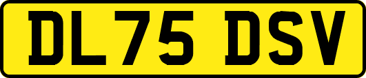 DL75DSV