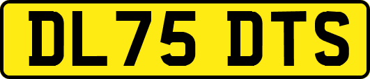DL75DTS