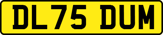 DL75DUM
