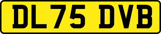 DL75DVB