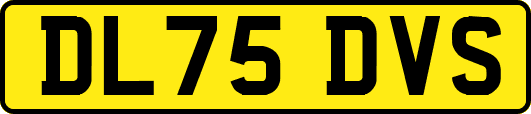 DL75DVS