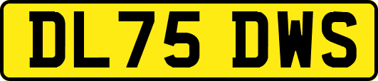 DL75DWS