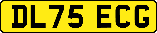 DL75ECG
