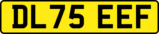 DL75EEF
