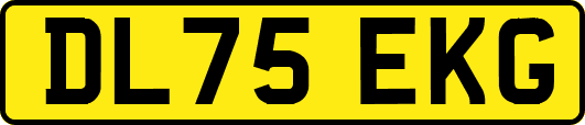 DL75EKG