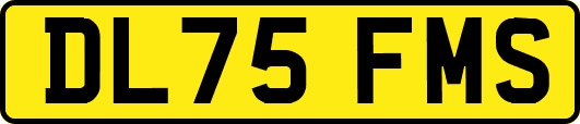 DL75FMS