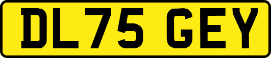 DL75GEY