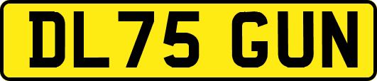 DL75GUN