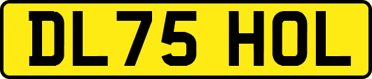 DL75HOL
