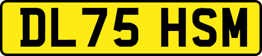DL75HSM
