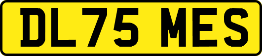 DL75MES
