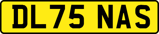 DL75NAS