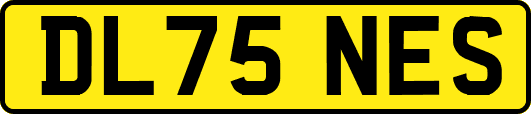 DL75NES