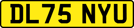 DL75NYU