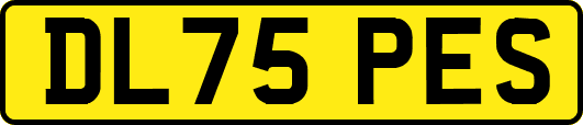 DL75PES