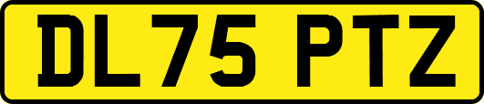 DL75PTZ