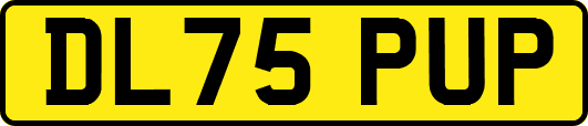 DL75PUP