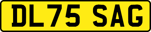 DL75SAG