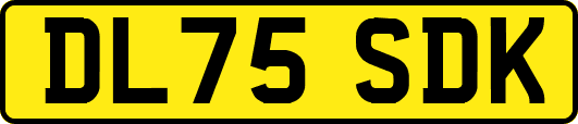 DL75SDK