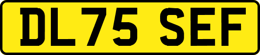 DL75SEF