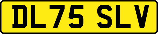DL75SLV
