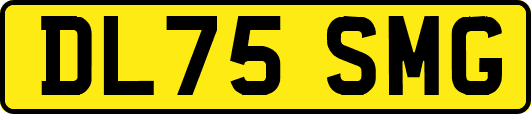 DL75SMG