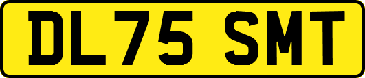DL75SMT