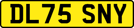 DL75SNY