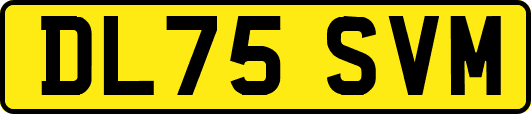 DL75SVM