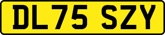 DL75SZY
