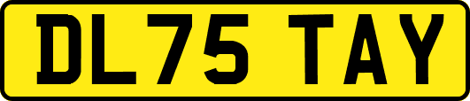 DL75TAY