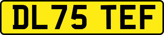 DL75TEF