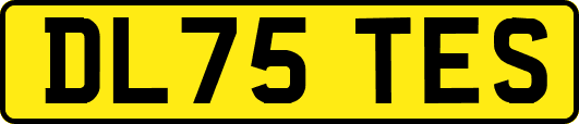 DL75TES