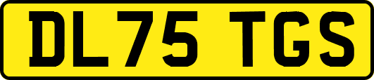 DL75TGS