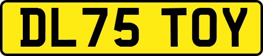 DL75TOY