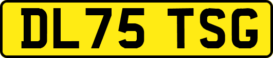 DL75TSG
